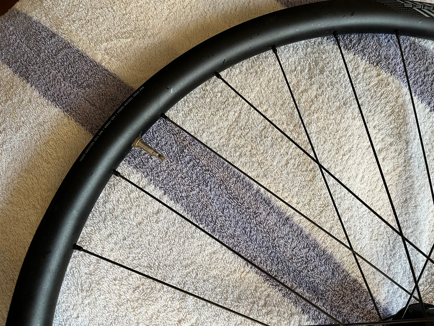Lyne Rear Hub, Pillar Spokes and cSixx Alloy Rim