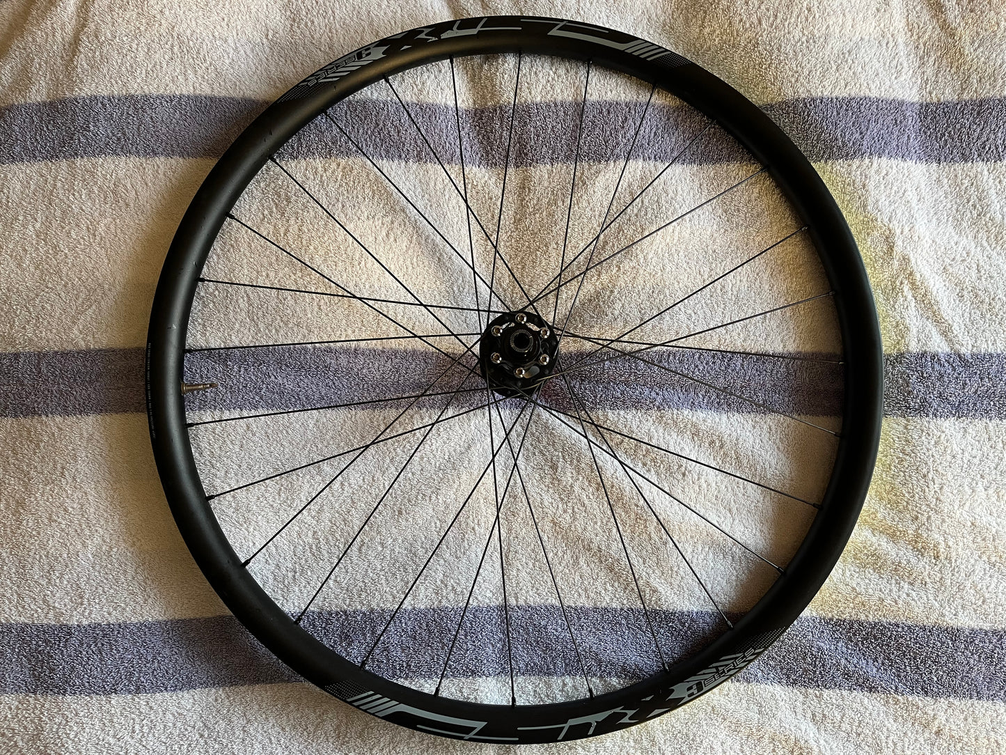 Lyne Rear Hub, Pillar Spokes and cSixx Alloy Rim