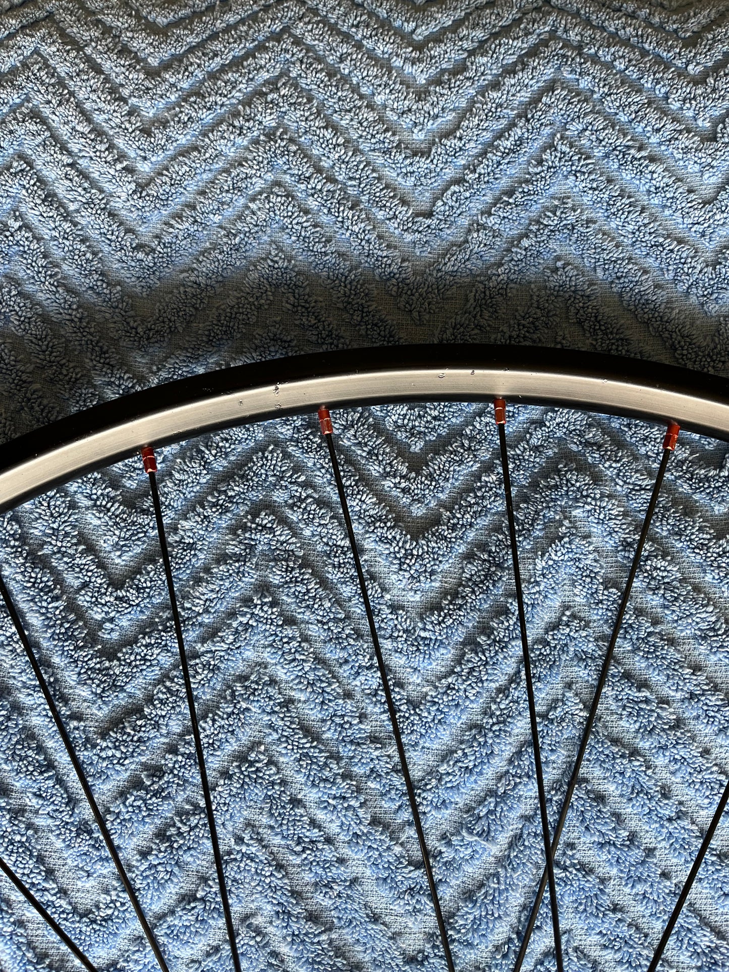 ZTR Crest Rim, DT Swiss Spokes and DT Swiss 240s Front Wheel Hub