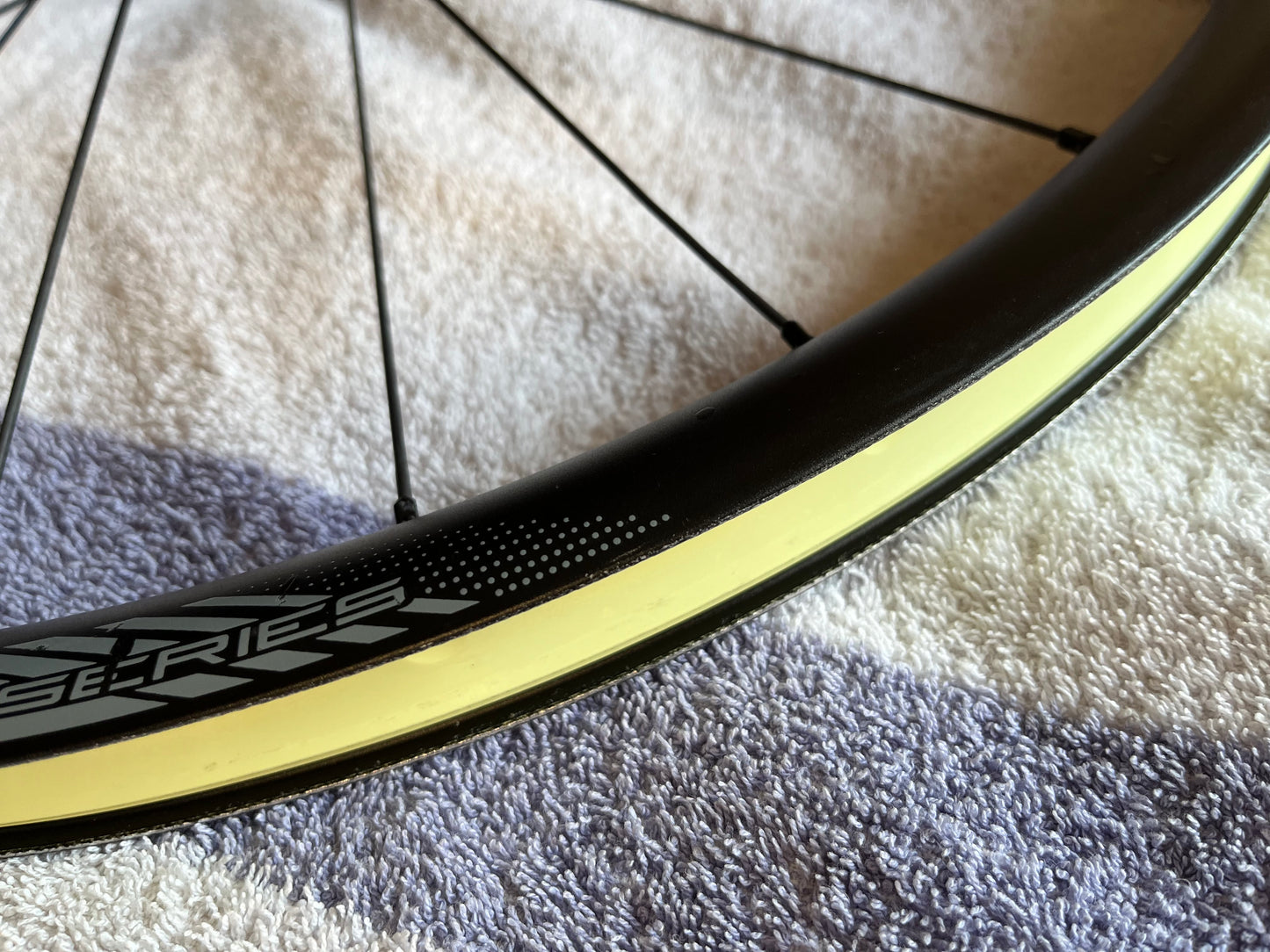 Lyne Rear Hub, Pillar Spokes and cSixx Alloy Rim