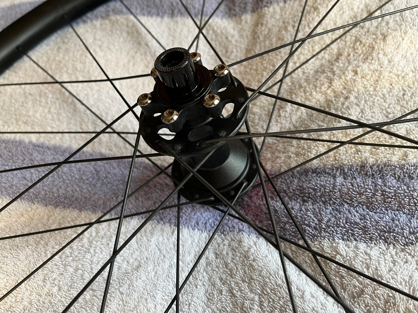 Lyne Rear Hub, Pillar Spokes and cSixx Alloy Rim