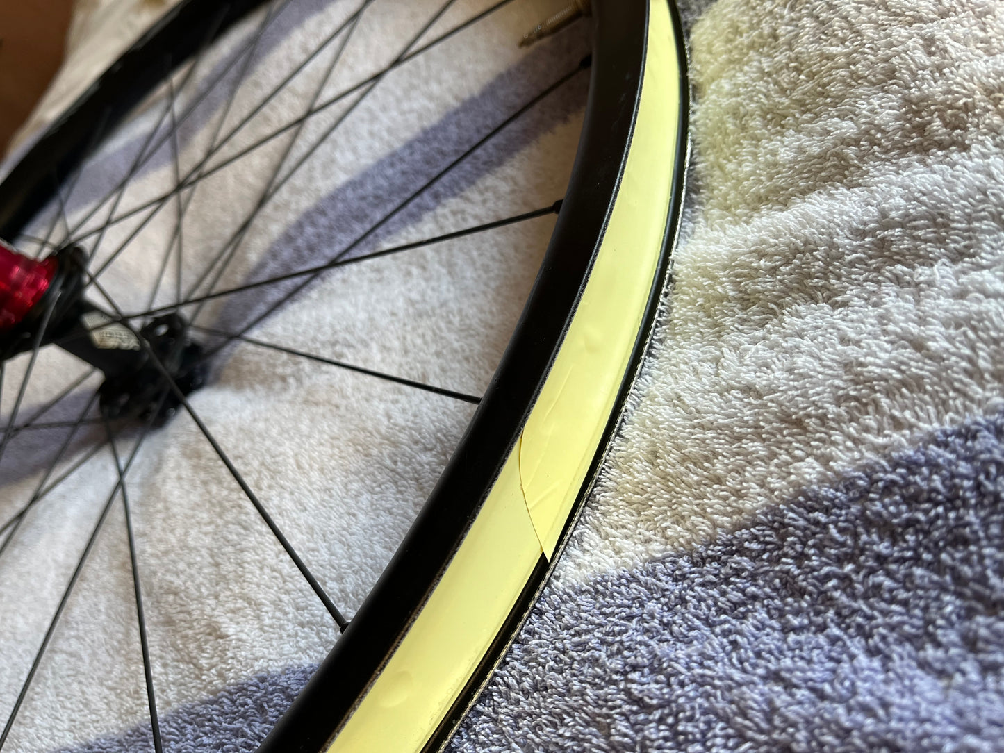 Lyne Rear Hub, Pillar Spokes and cSixx Alloy Rim