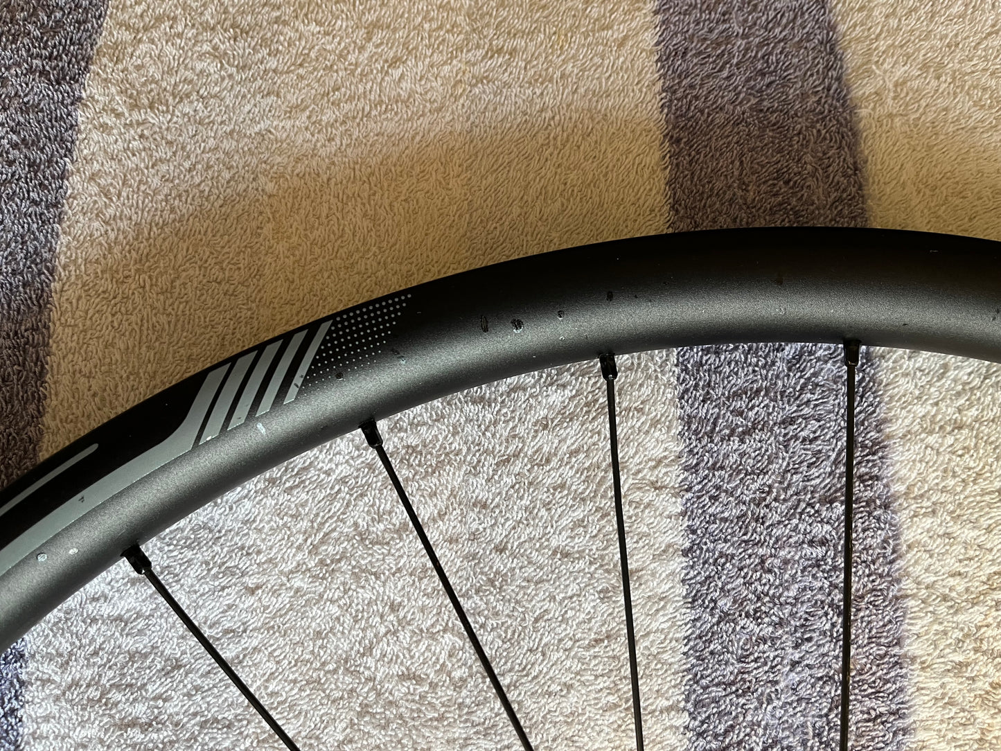 Lyne Rear Hub, Pillar Spokes and cSixx Alloy Rim